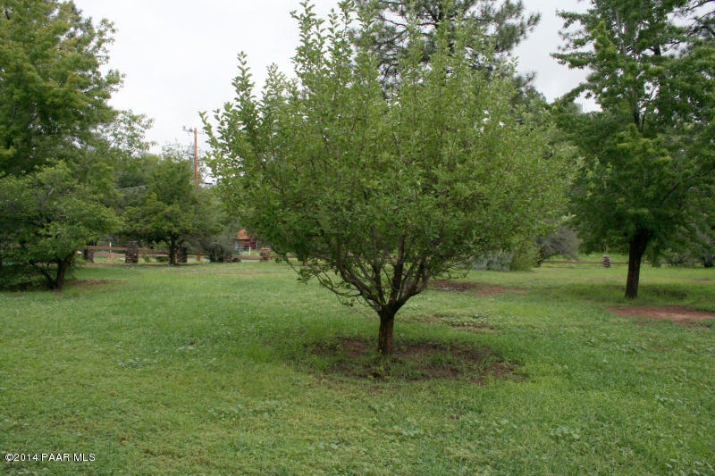 1045 Middlebrook Road Prescott, AZ 86303 - Photo 33 of 33 Apple Trees