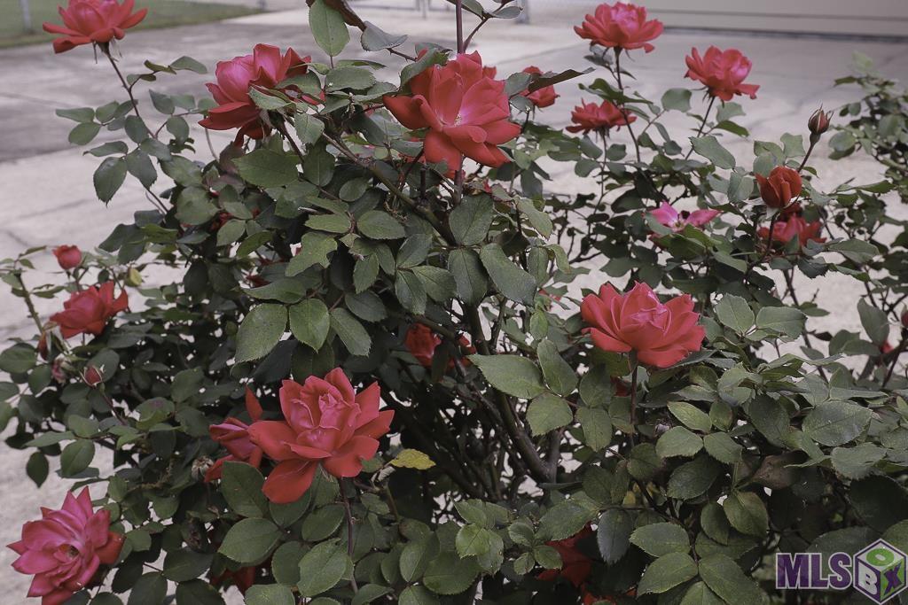 2166 Silverest Avenue Baton Rouge, LA 70816 - Photo 36 of 38