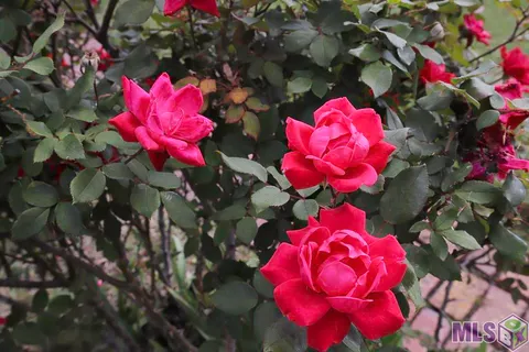 $235,000 | 2166 Silverest Avenue, Baton Rouge, LA 70816