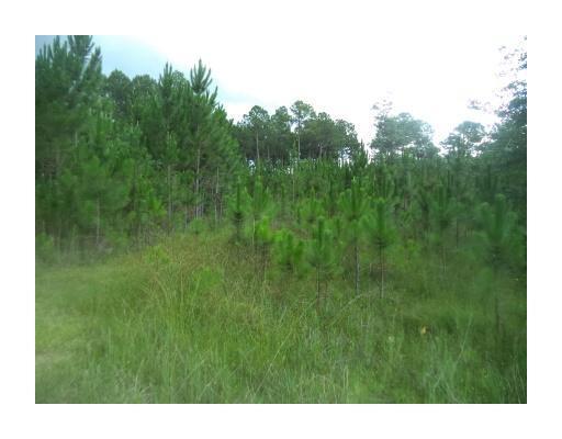 Lot 5 Martin Bluff Road Gautier, MS 39553 - Photo 1 of 1 Primary Photo