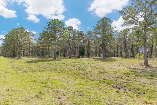$1,368,000 | 61 Highway 61, Devers, TX 77538