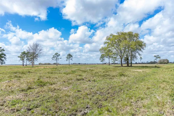 $1,368,000 | 61 Highway 61, Devers, TX 77538