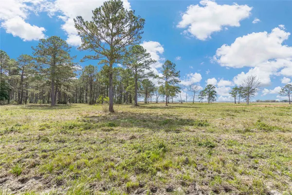 $1,368,000 | 61 Highway 61, Devers, TX 77538