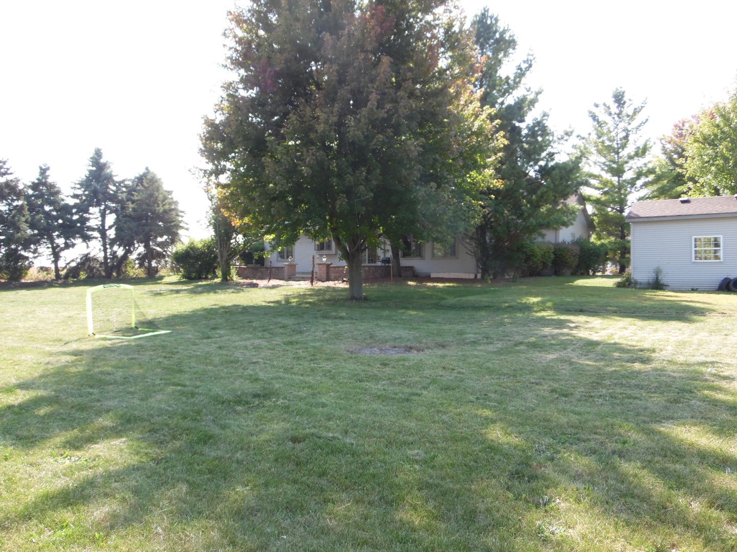 19057 South Saddlebrook Drive Shorewood, IL 60404 - Photo 10 of 56