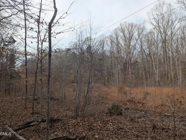 $27,200 | 0 Dirgie Mine Road, Roxboro, NC 27574