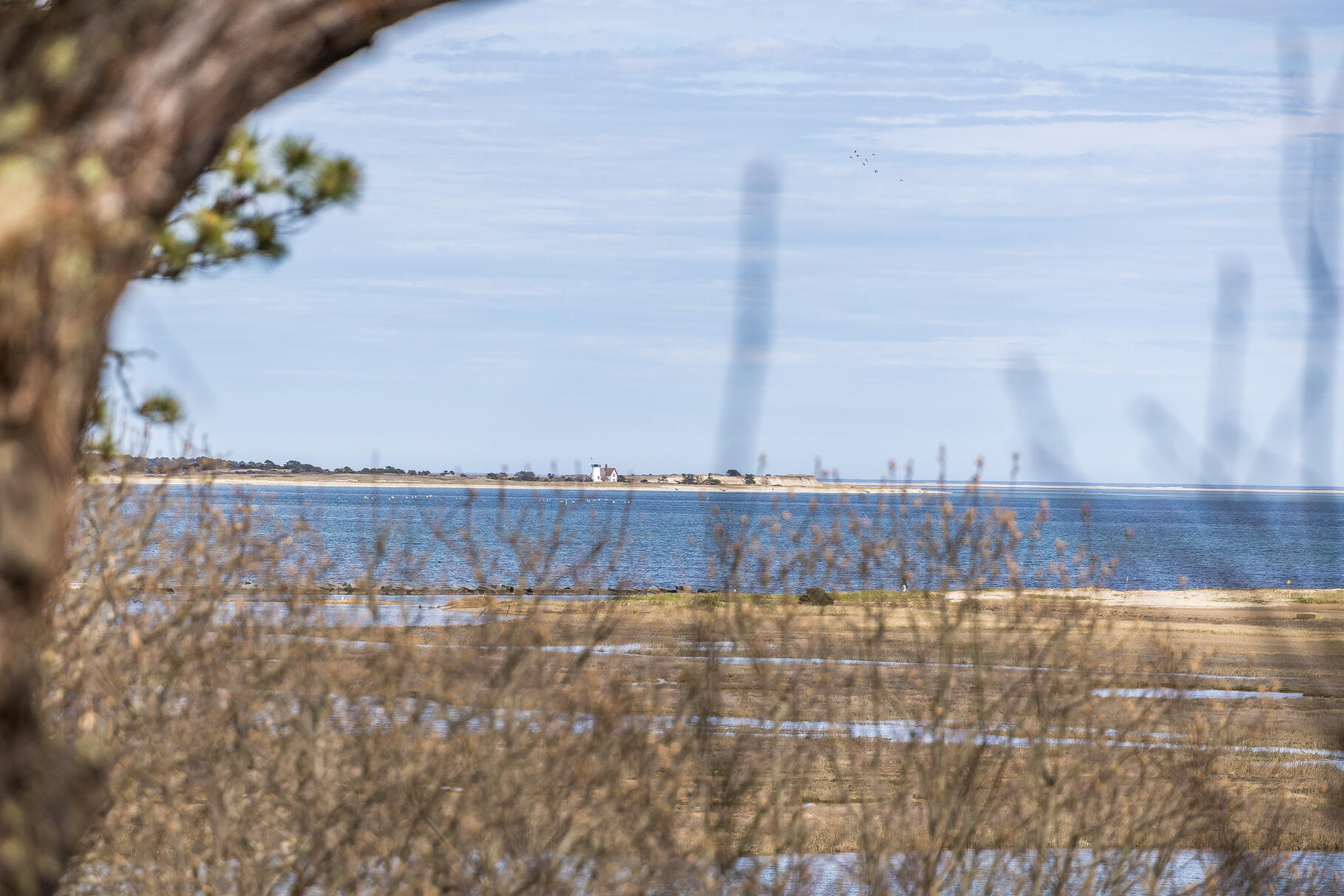 189 Bay View Road Chatham, MA 02659 - Photo 48 of 59 a view of outdoor space and yard