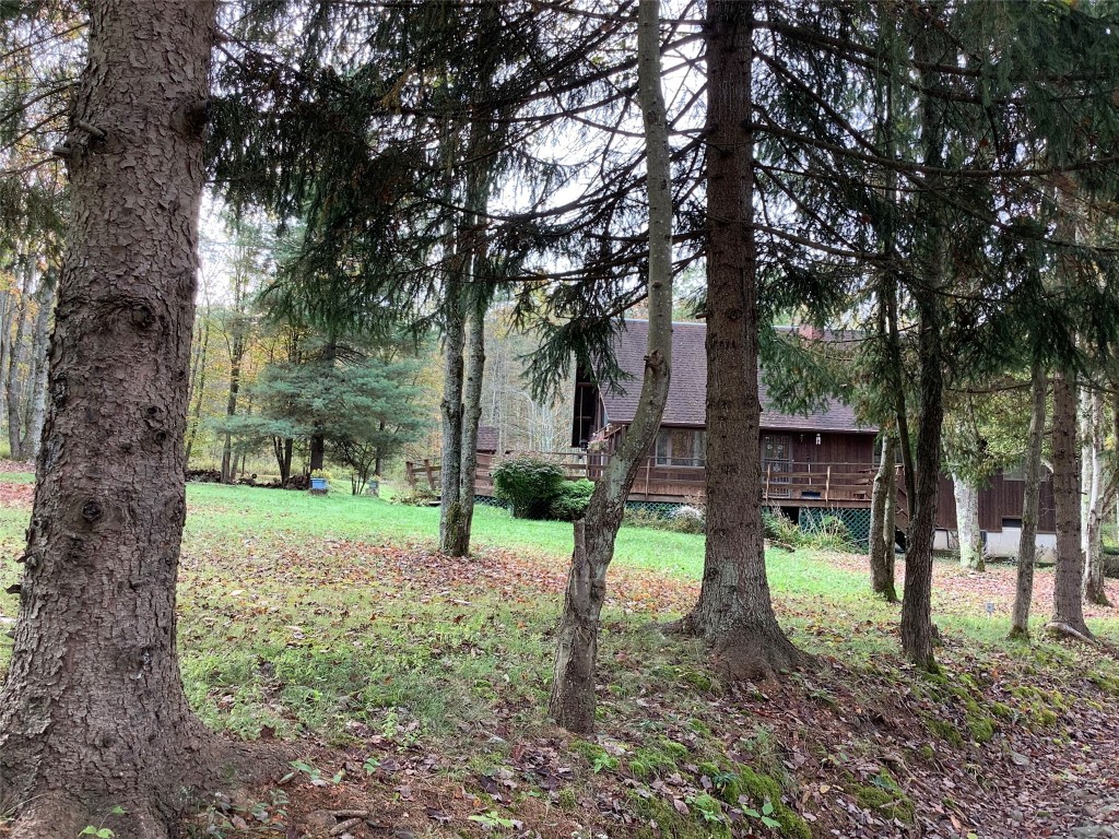 551 Johnson Road Kirkwood, NY 13795 - Photo 13 of 50 Gallery Image 13