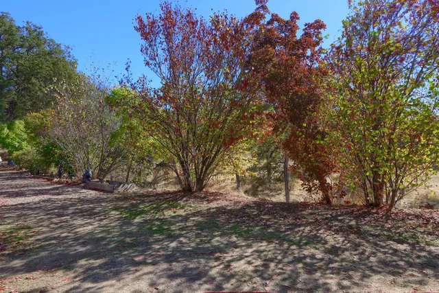 $565,000 | 4733 Hirsch Road, Mariposa, CA 95338