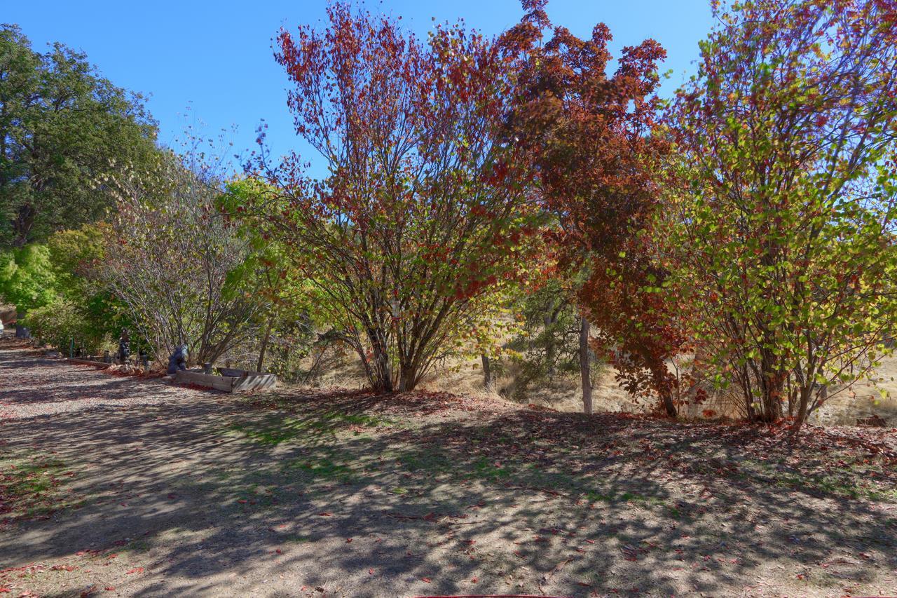4733 Hirsch Road Mariposa, CA 95338 - Photo 35 of 51