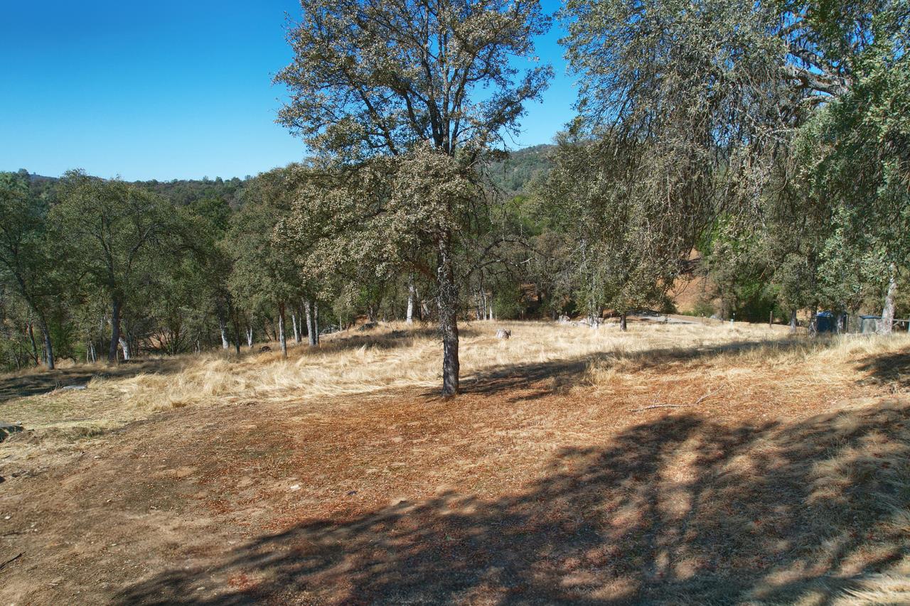 4733 Hirsch Road Mariposa, CA 95338 - Photo 44 of 51