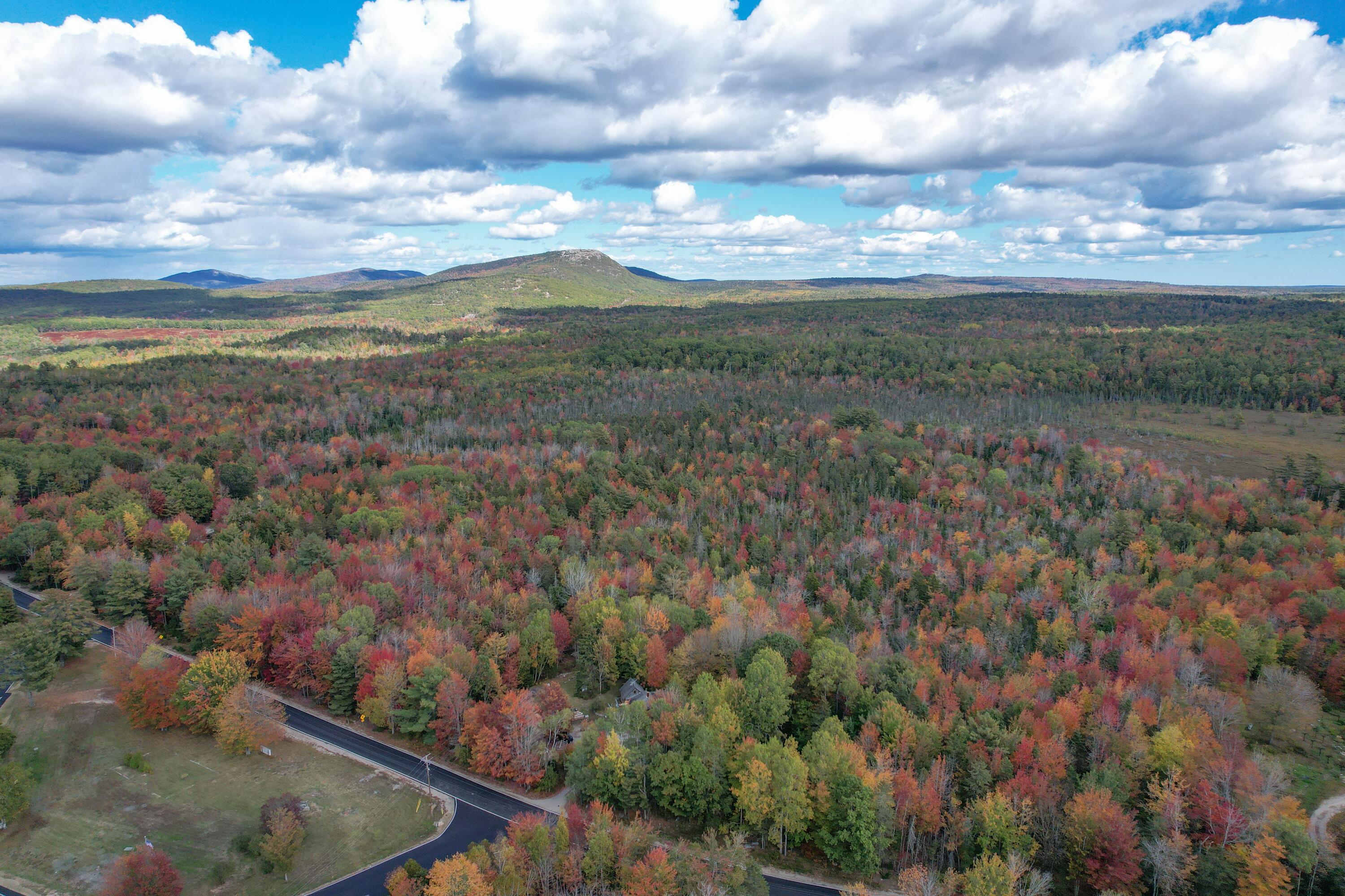 535 Bert Gray Road Sullivan, ME 04664 - Photo 14 of 14 DJI_0118