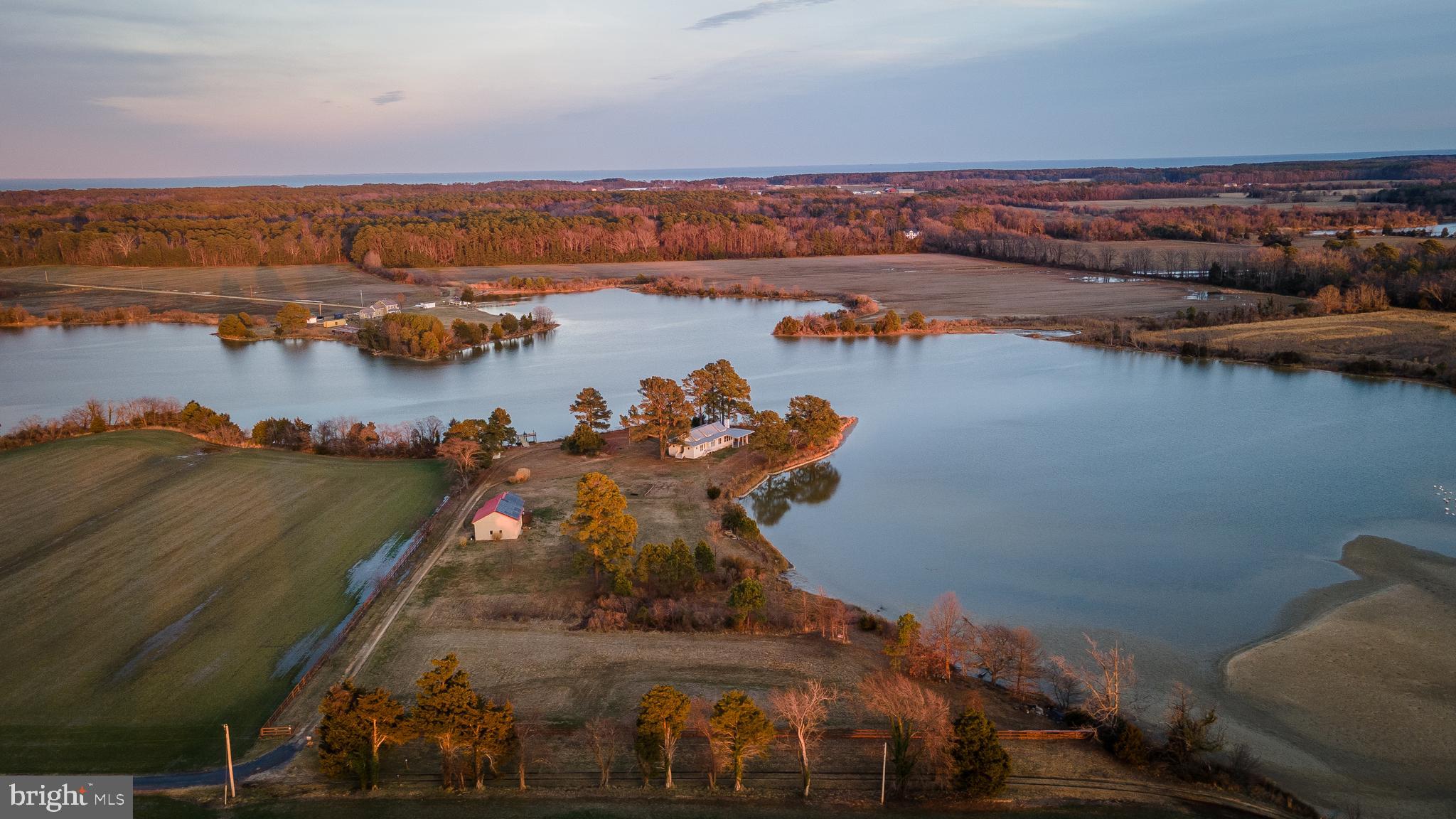 49005 Harry James Road Ridge, MD 20680 - Photo 4 of 71 a view of a lake in middle of forest