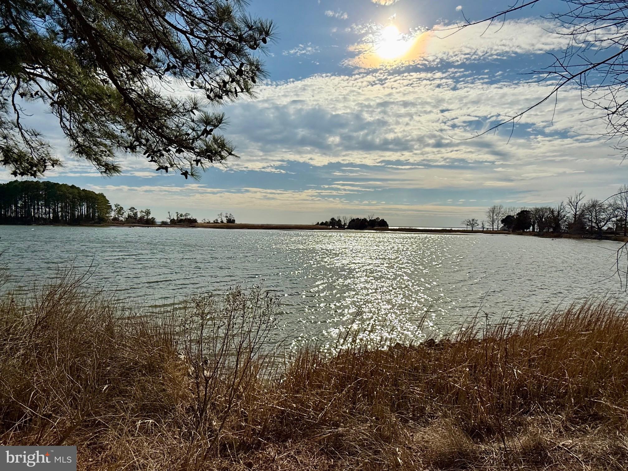 49005 Harry James Road Ridge, MD 20680 - Photo 53 of 71 Planted living shoreline