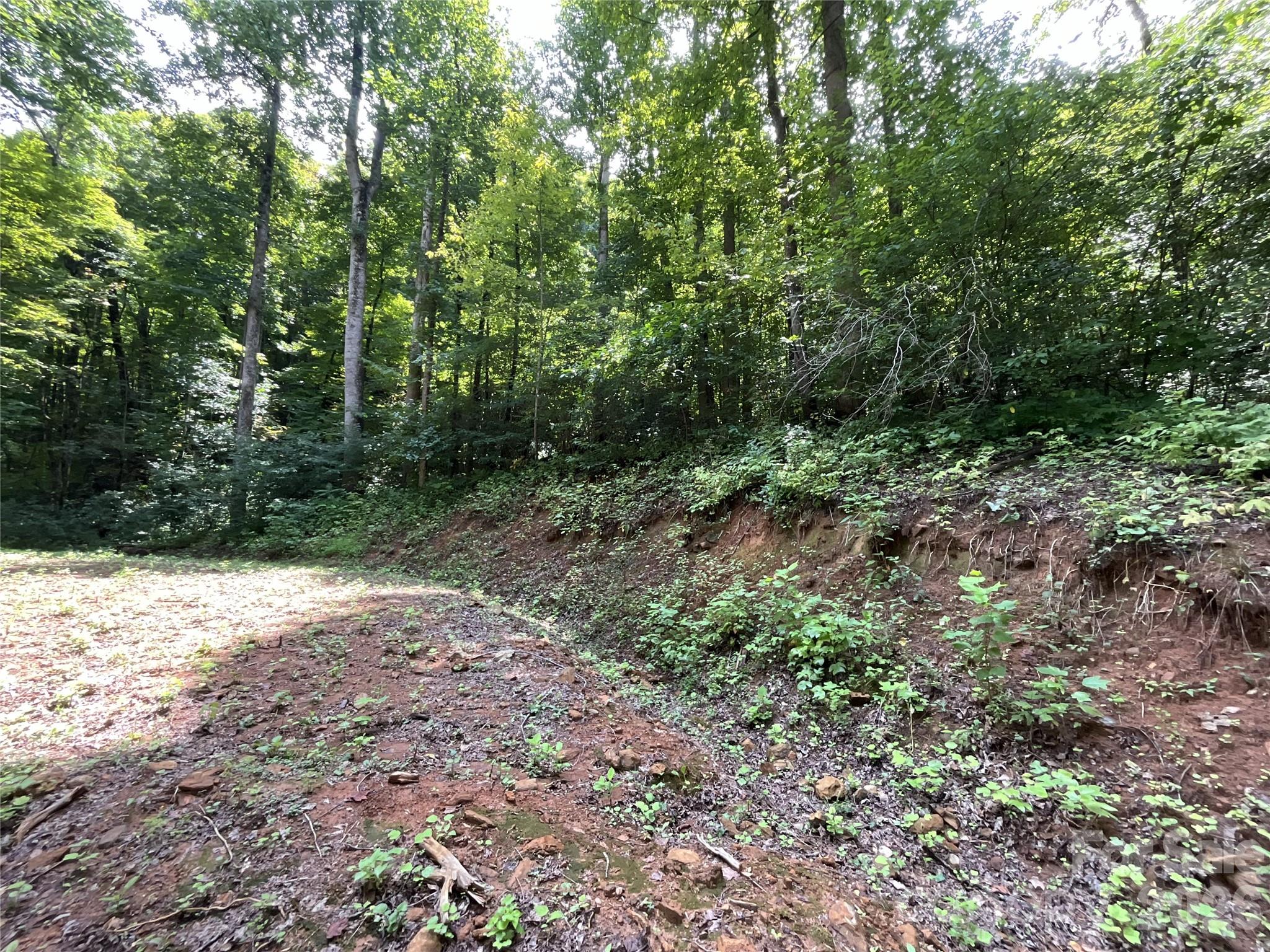 618 Dark Ridge Road Sylva, NC 28779 - Photo 13 of 38 Gallery Image 13