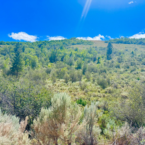 160 Dry Canyon St. Charles, ID 83272 - Photo 38 of 63 Expansive natural landscape with varied foliage and a clear blue sky