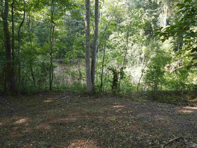 $37,100 | Lot 47 Treakle Drive, Jackson, LA 70748