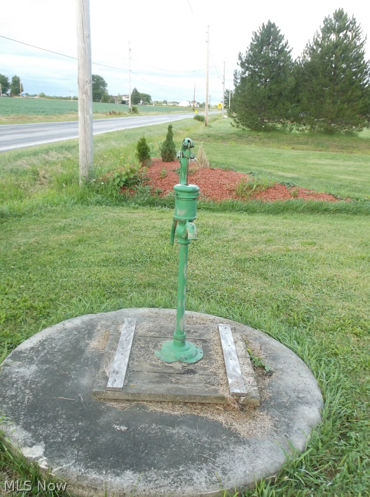 44175 Albrecht Road Elyria, OH 44035 - Photo 16 of 16 Working well water pump gets filled by rain water and can be used for watering your garden or flower beds.