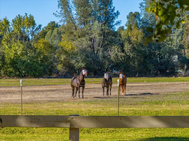 $1,595,000 | 5521 Churn Crk Road, Redding, CA 96002