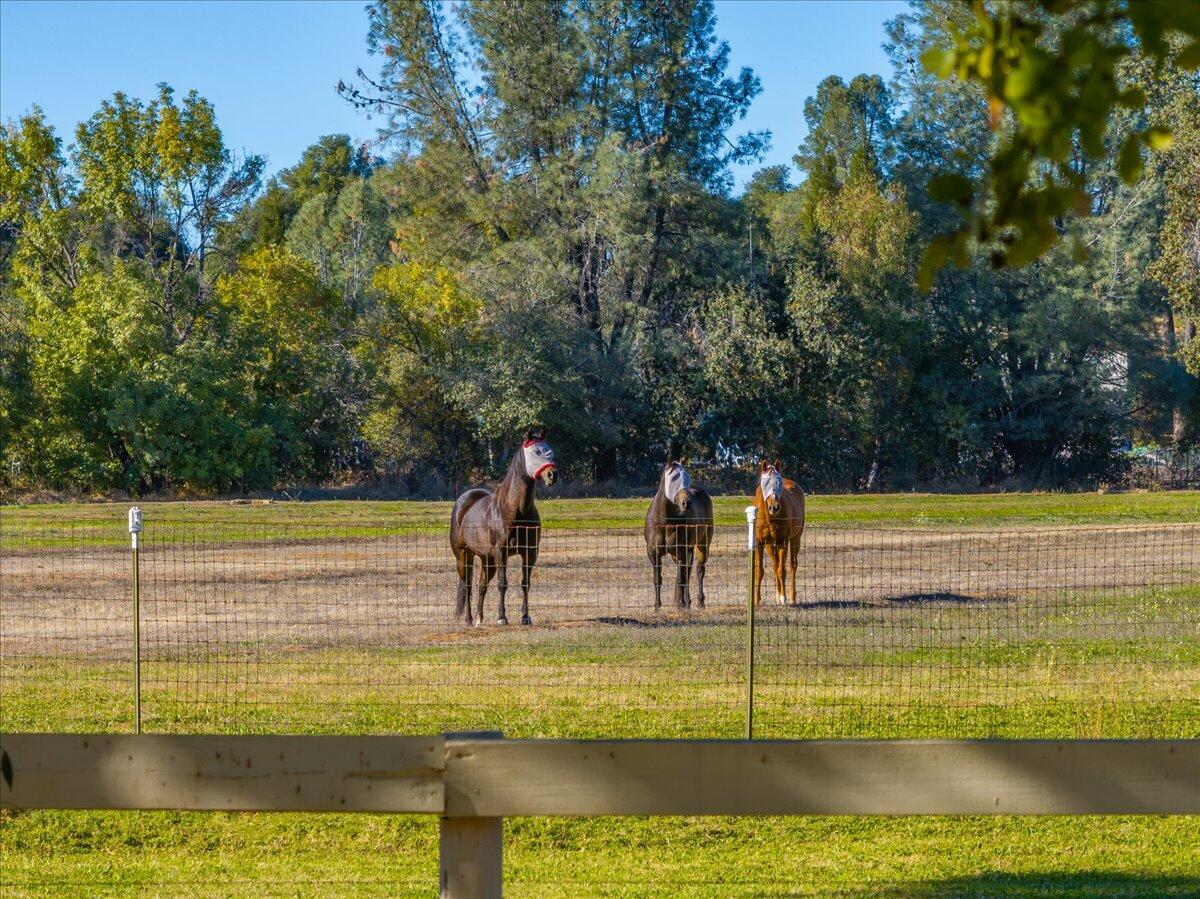 5521 Churn Crk Road Redding, CA 96002 - Photo 138 of 154 24b