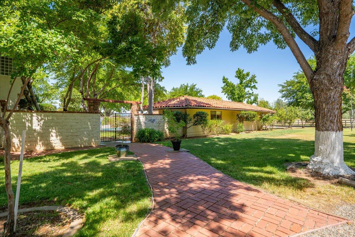 5521 Churn Crk Road Redding, CA 96002 - Photo 95 of 154 a view of a yard with plants and a table and chair under an umbrella