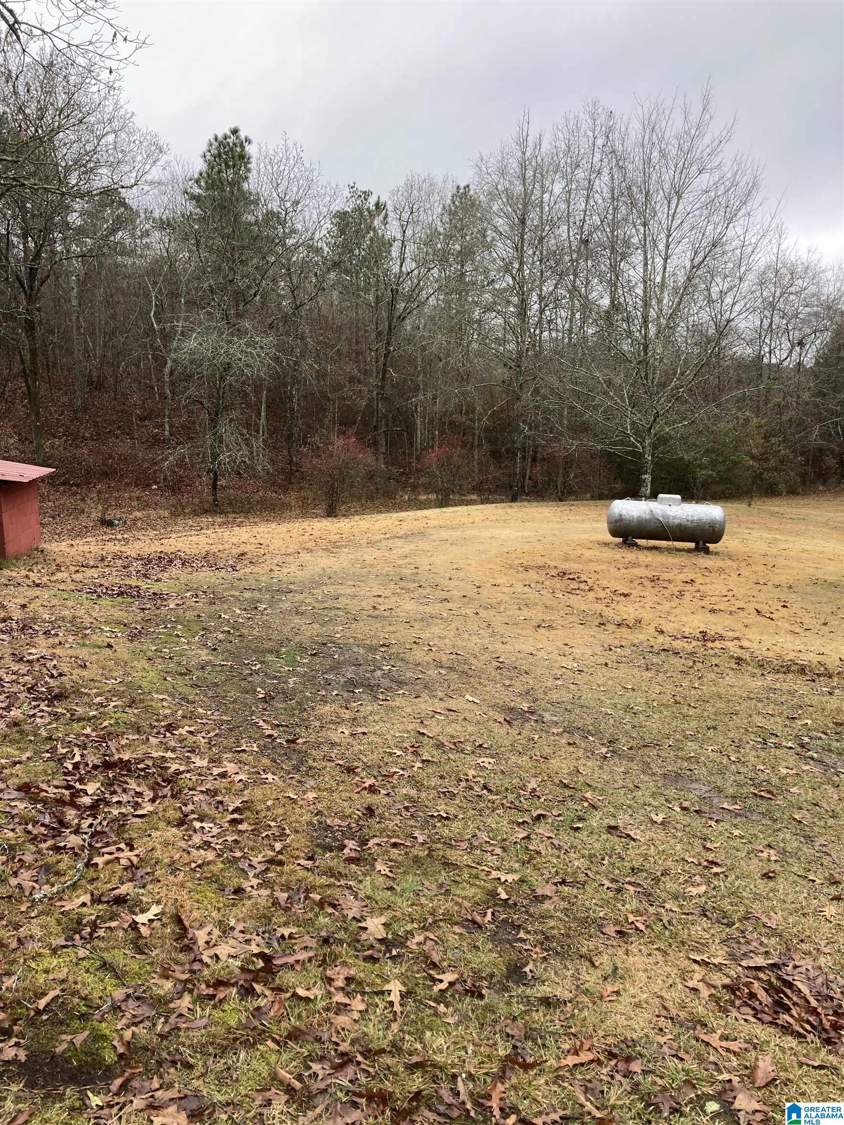 3675 Providence Road Talladega, AL 35160 - Photo 30 of 30