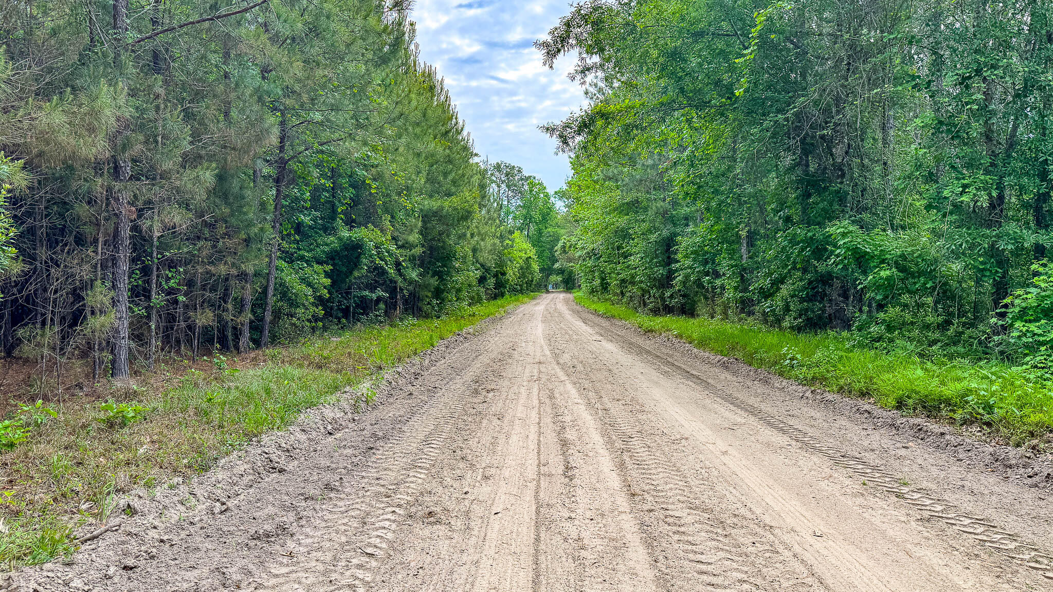 1034 Tuten Road Jacksonboro, SC 29452 - Photo 35 of 77 Hayne HallSC Land for Sale-37