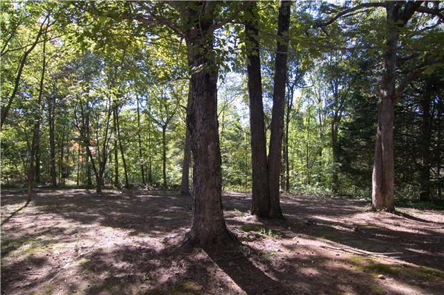 4480 Akin Road Cunningham, TN 37052 - Photo 18 of 20