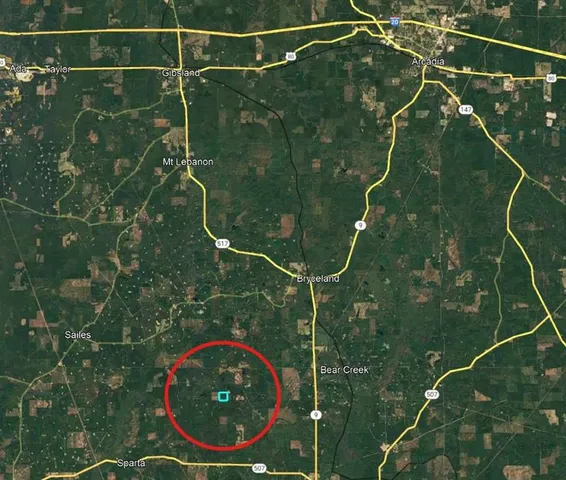 $100,000 | 1297 Shiloh Road, Bienville, LA 71008