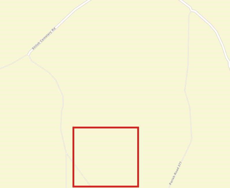 0 Shiloh Road Bienville, LA 71008 - Photo 5 of 6