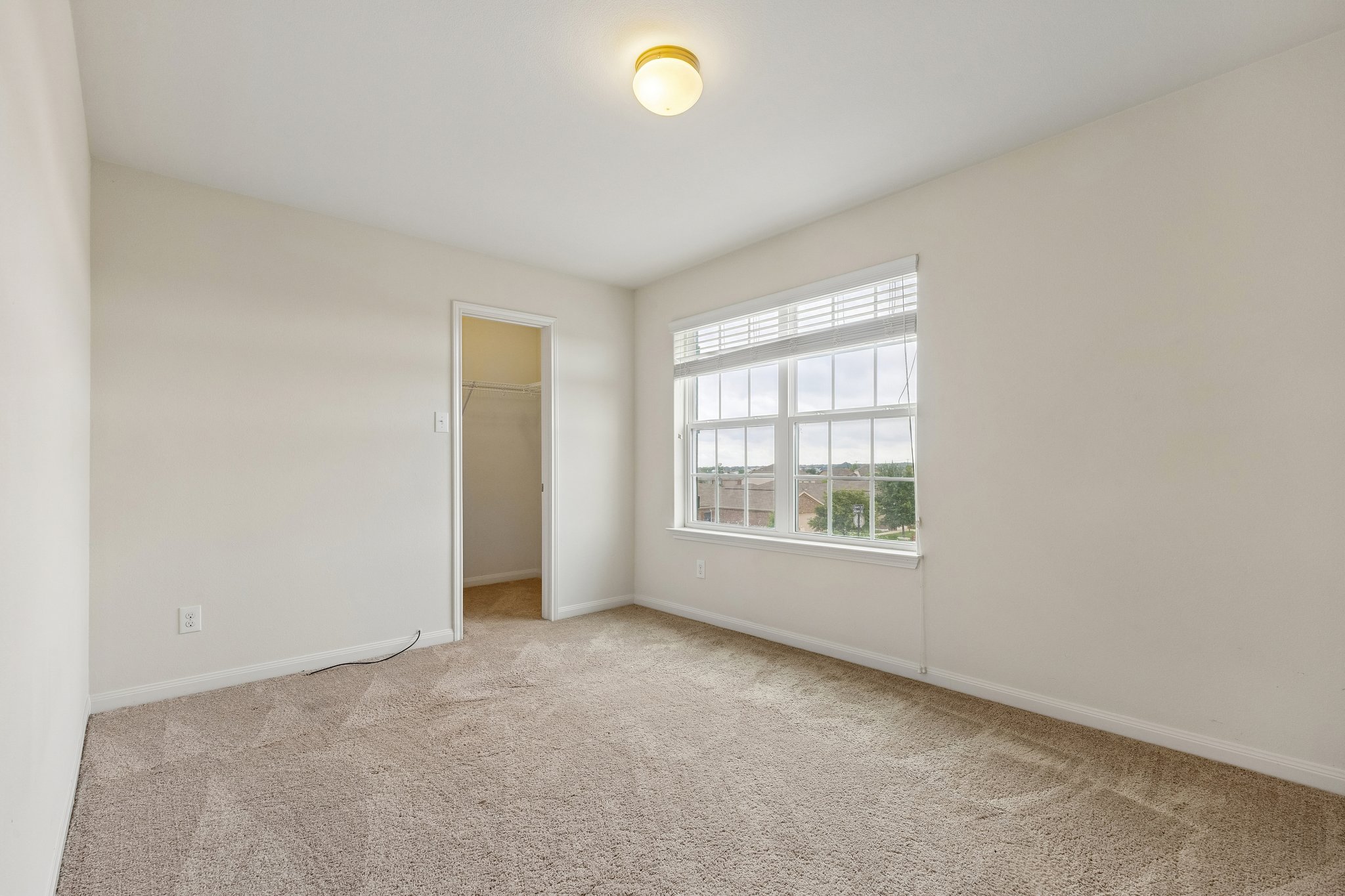 704 Cleary Lane Jarrell, TX 76537 - Photo 20 of 25 Carpeted interior room featuring a large window with white blinds, a recessed closet with shelving, light-colored walls, and a ceiling-mounted light fixture