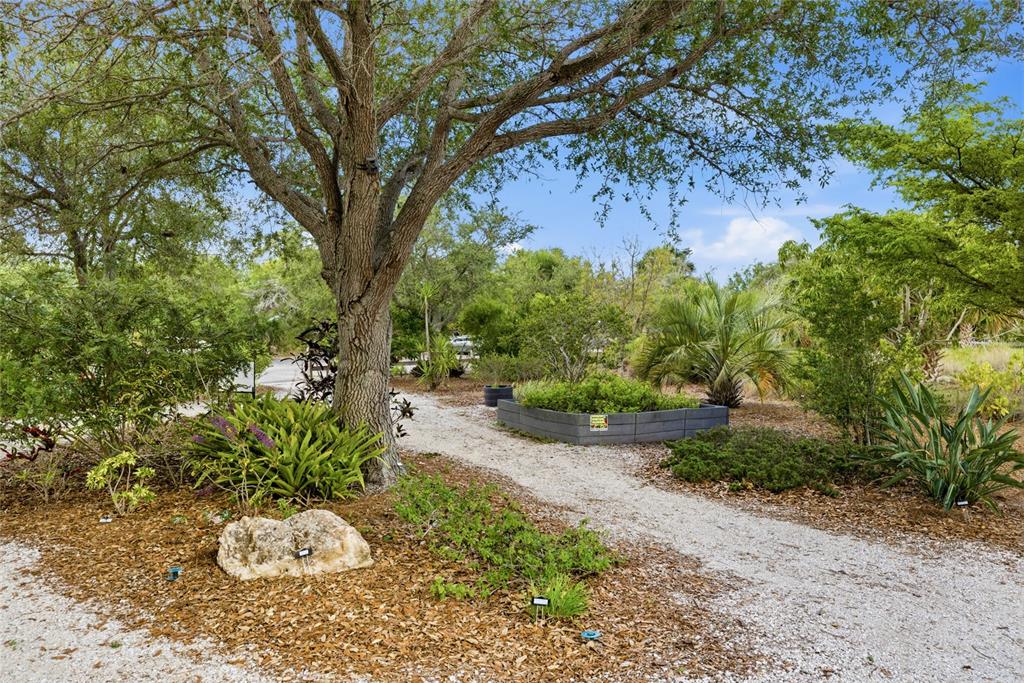 3670 Sunset Beach Drive Venice, FL 34293 - Photo 47 of 51 a view of a garden with plants