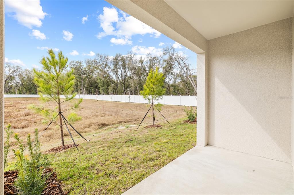 36148 Risa Michele Street Zephyrhills, FL 33541 - Photo 34 of 34