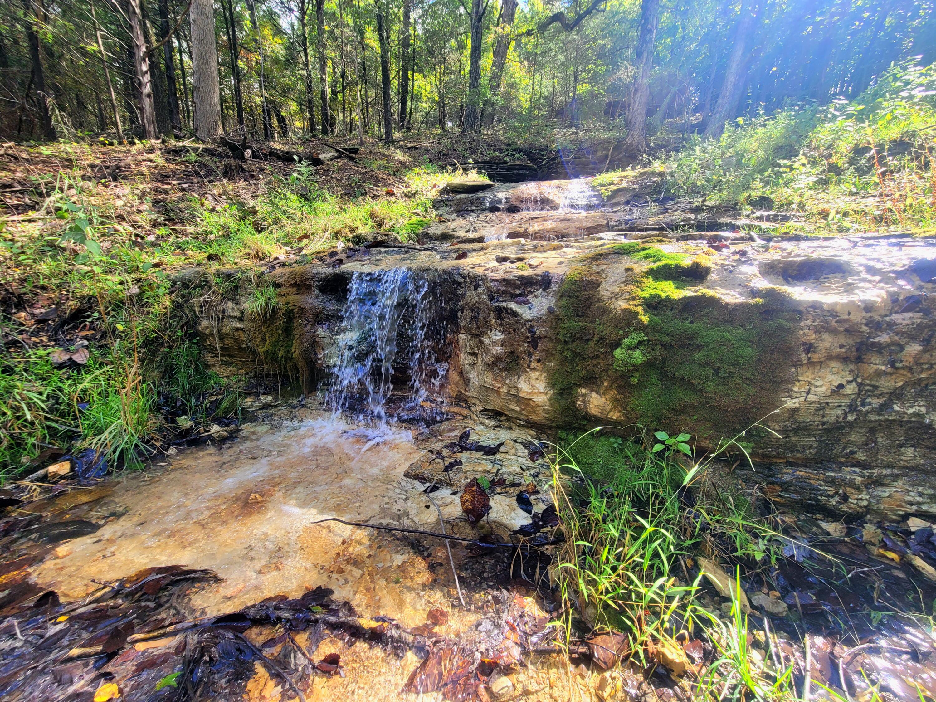 0 Dry Hollow Road Chestnutridge, MO 65630 - Photo 11 of 44 20250925_114550