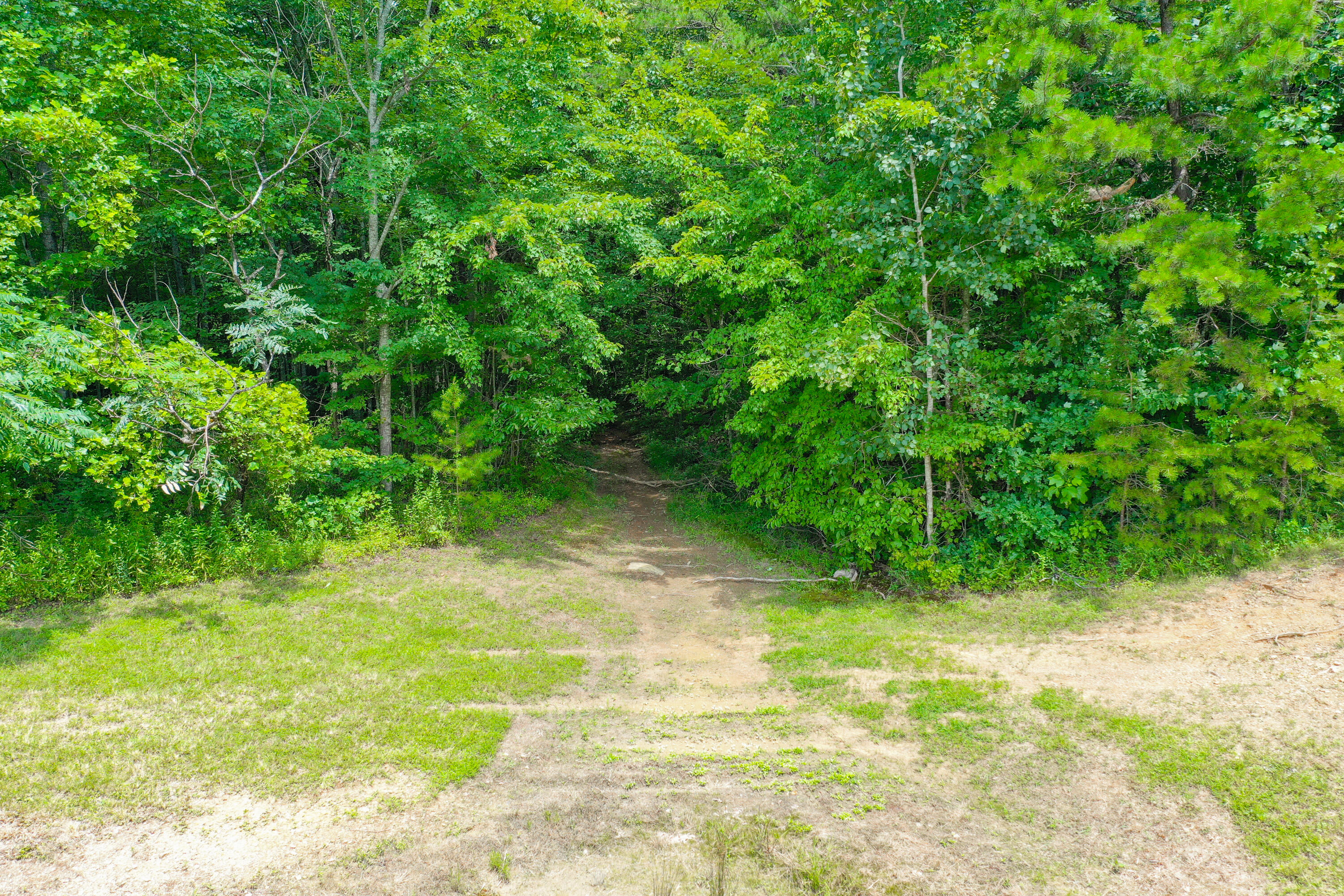 494 David Ball Road McKee, KY 40447 - Photo 87 of 99 DJI_0846