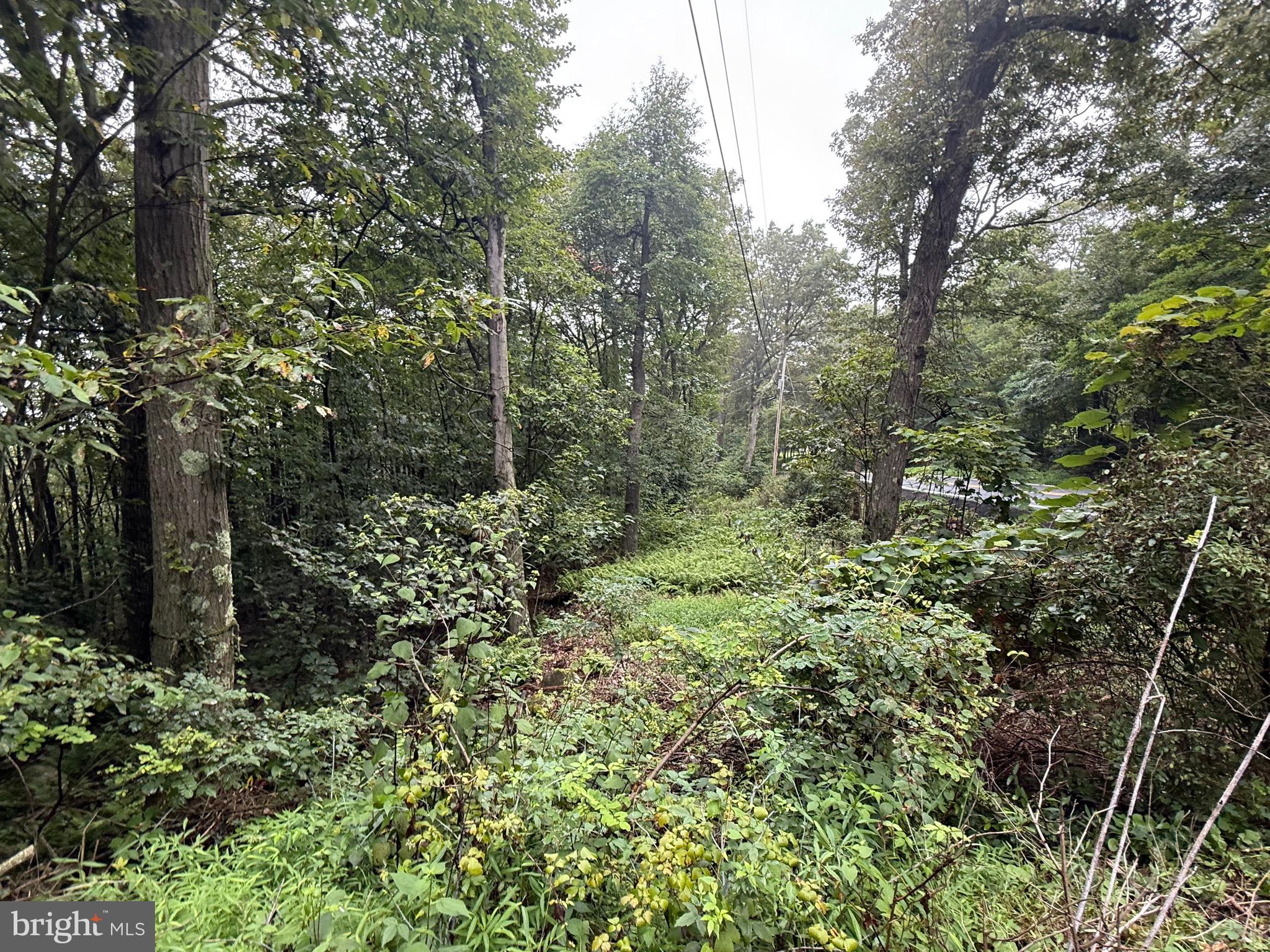 0 Pinnacle Road Keyser, WV 26726 - Photo 56 of 61