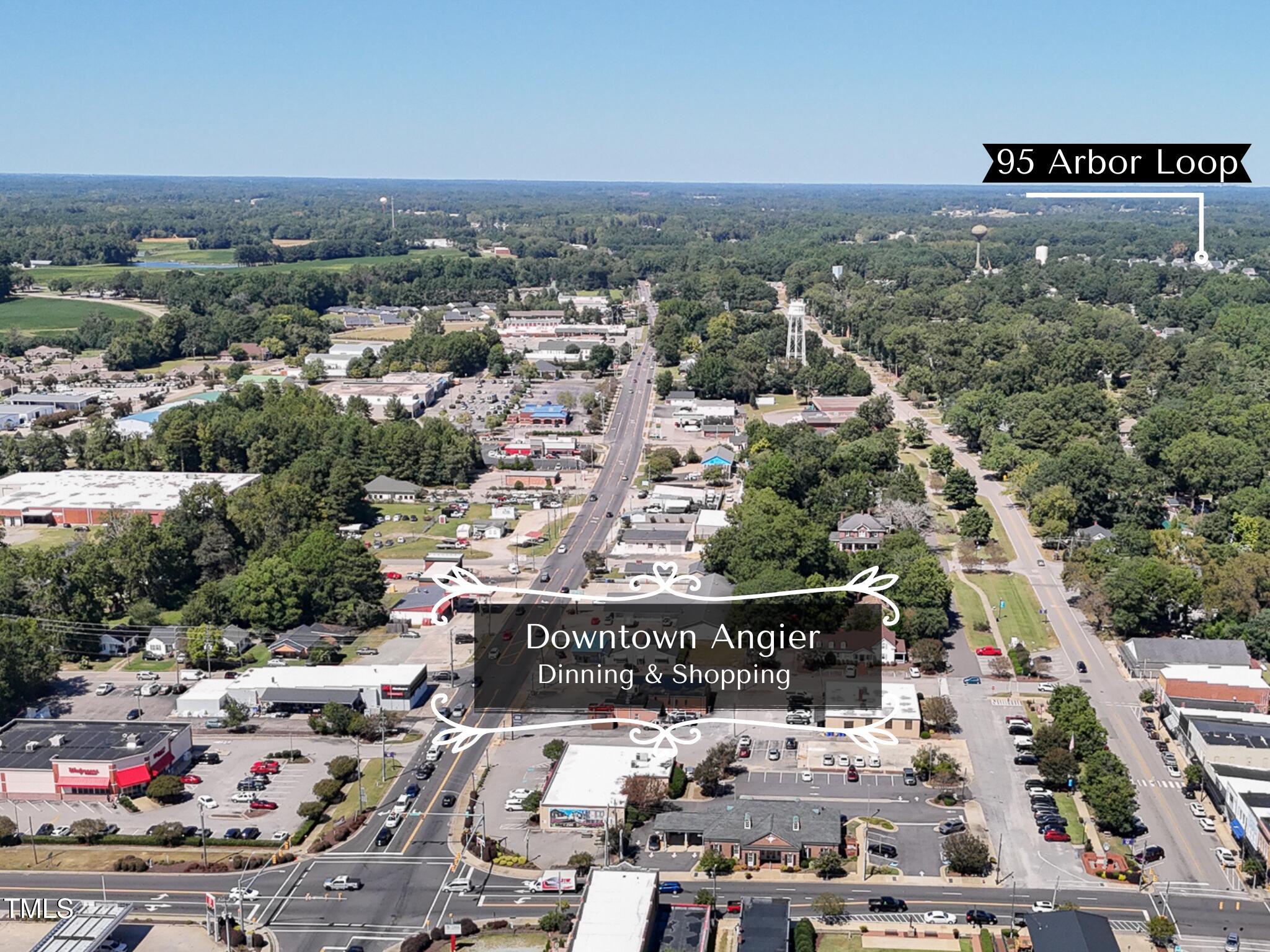 95 Arbor Loop Angier, NC 27501 - Photo 22 of 25 Minuted From Downtown