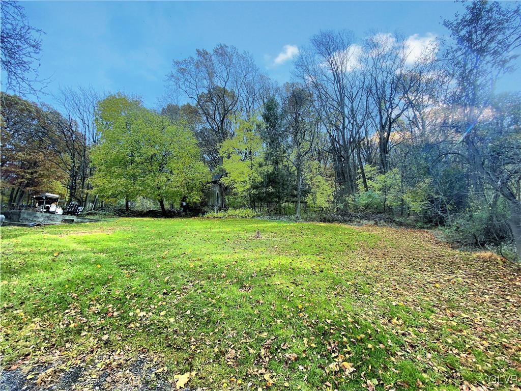 2102 Nemeth Drive Bethlehem, PA 18015 - Photo 6 of 33 a view of a yard with a tree