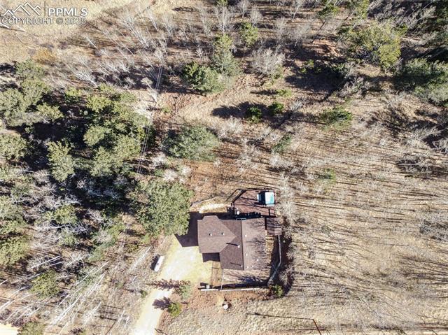 20 Spur Road Divide, CO 80814 - Photo 25 of 34 Gallery Image 25