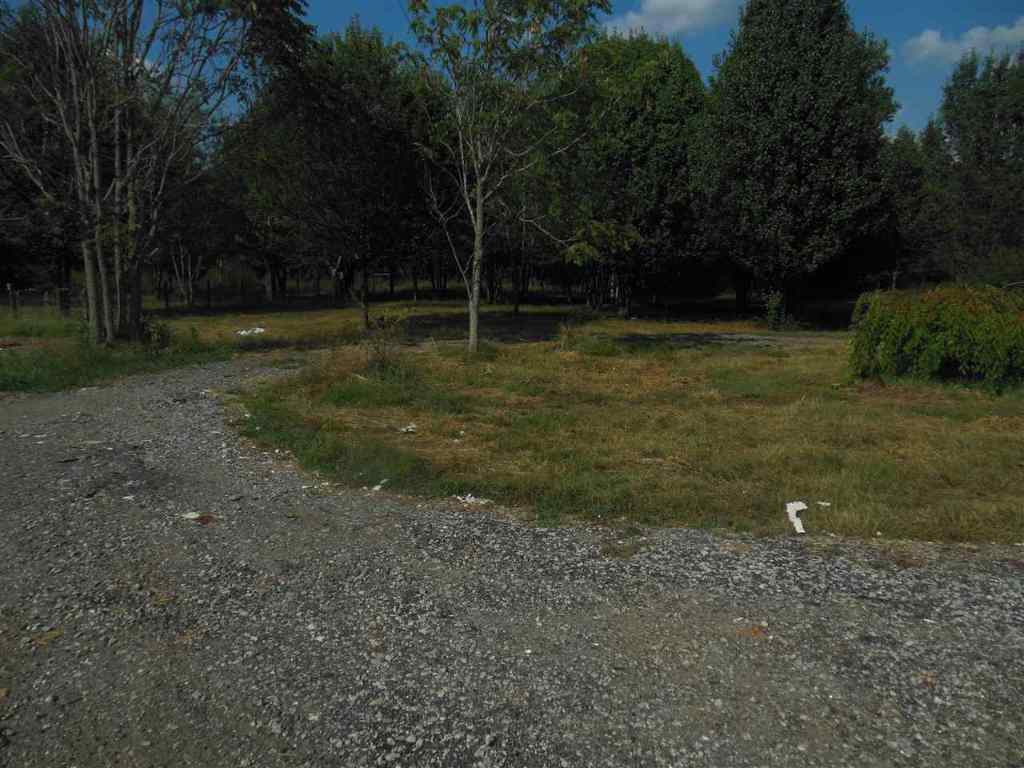 1317 Clinkscales Road, Unit 10 88 ACRES Anderson, SC 29624 - Photo 4 of 12