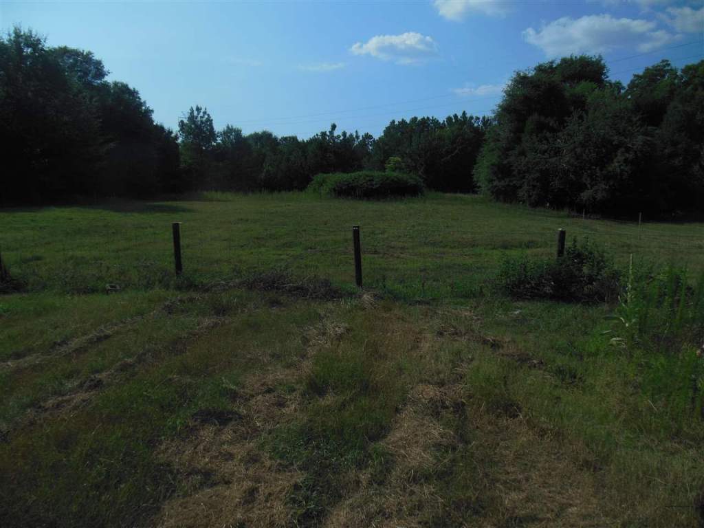 1317 Clinkscales Road, Unit 10 88 ACRES Anderson, SC 29624 - Photo 5 of 12