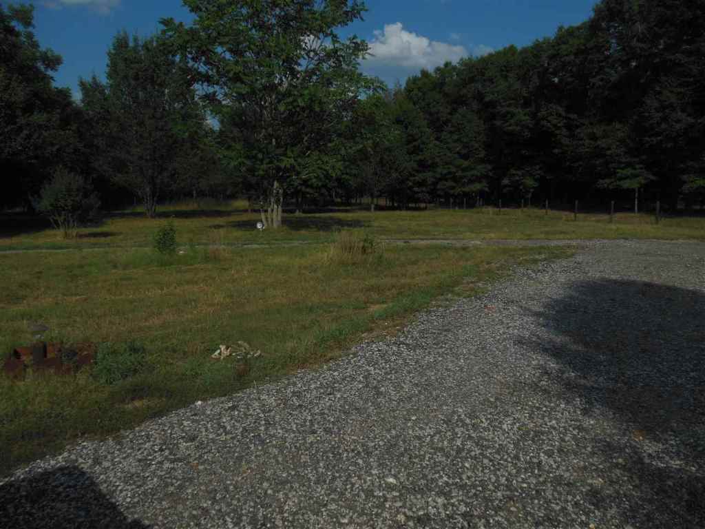 1317 Clinkscales Road, Unit 10 88 ACRES Anderson, SC 29624 - Photo 9 of 12