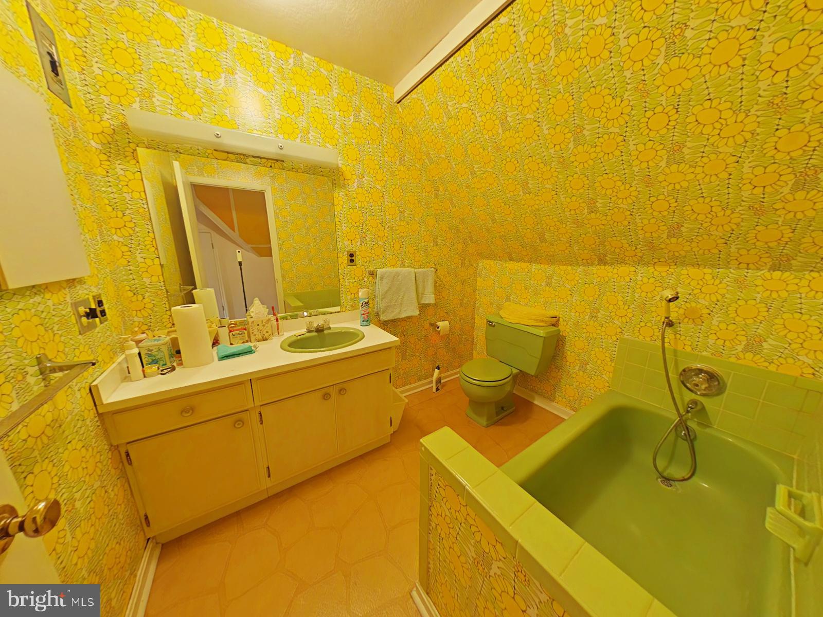 13 Midhurst Road Silver Spring, MD 20910 - Photo 14 of 23 Gallery Image 14