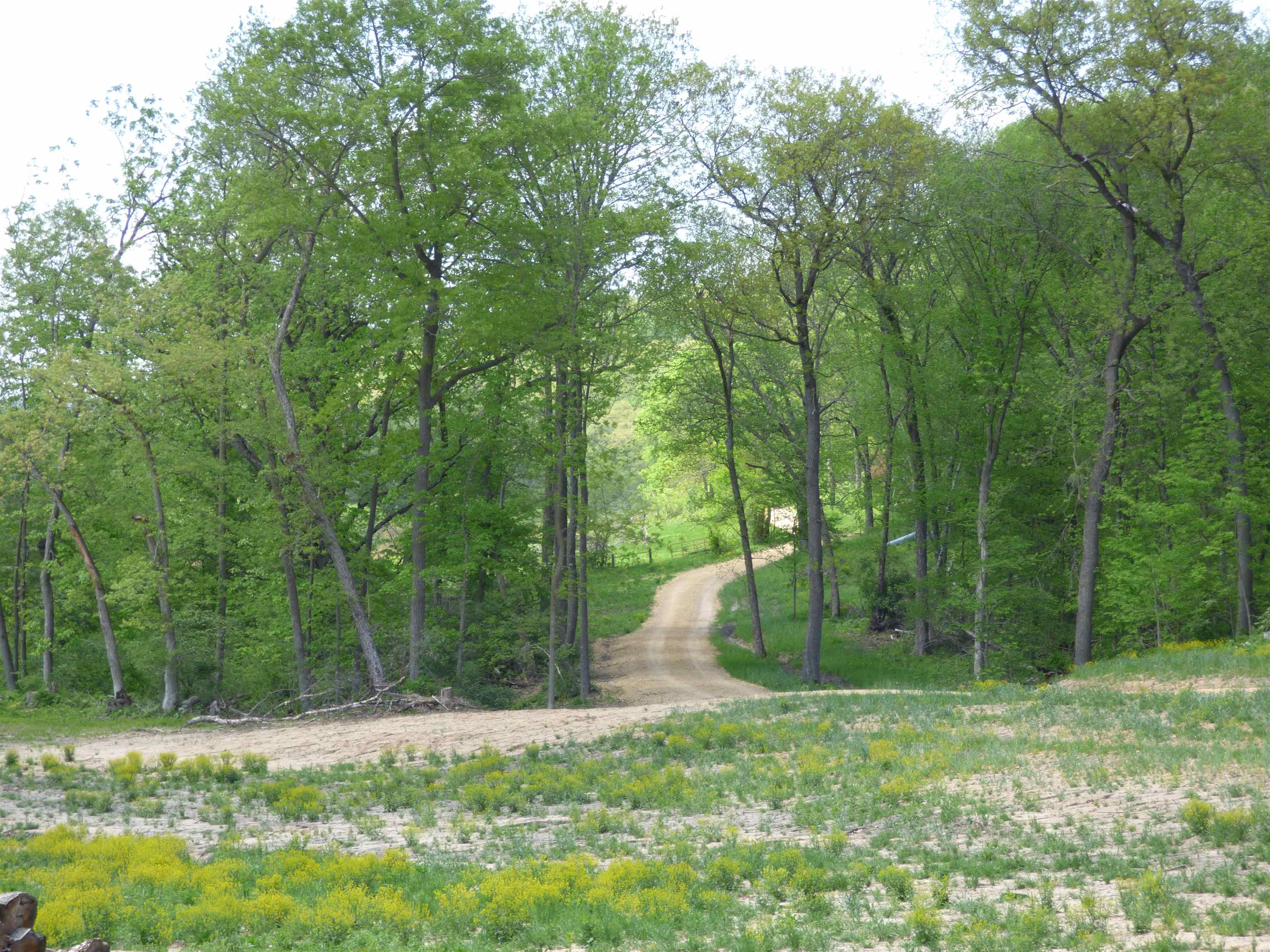 6163 South Blanding Road Hanover, IL 61041 - Photo 61 of 72