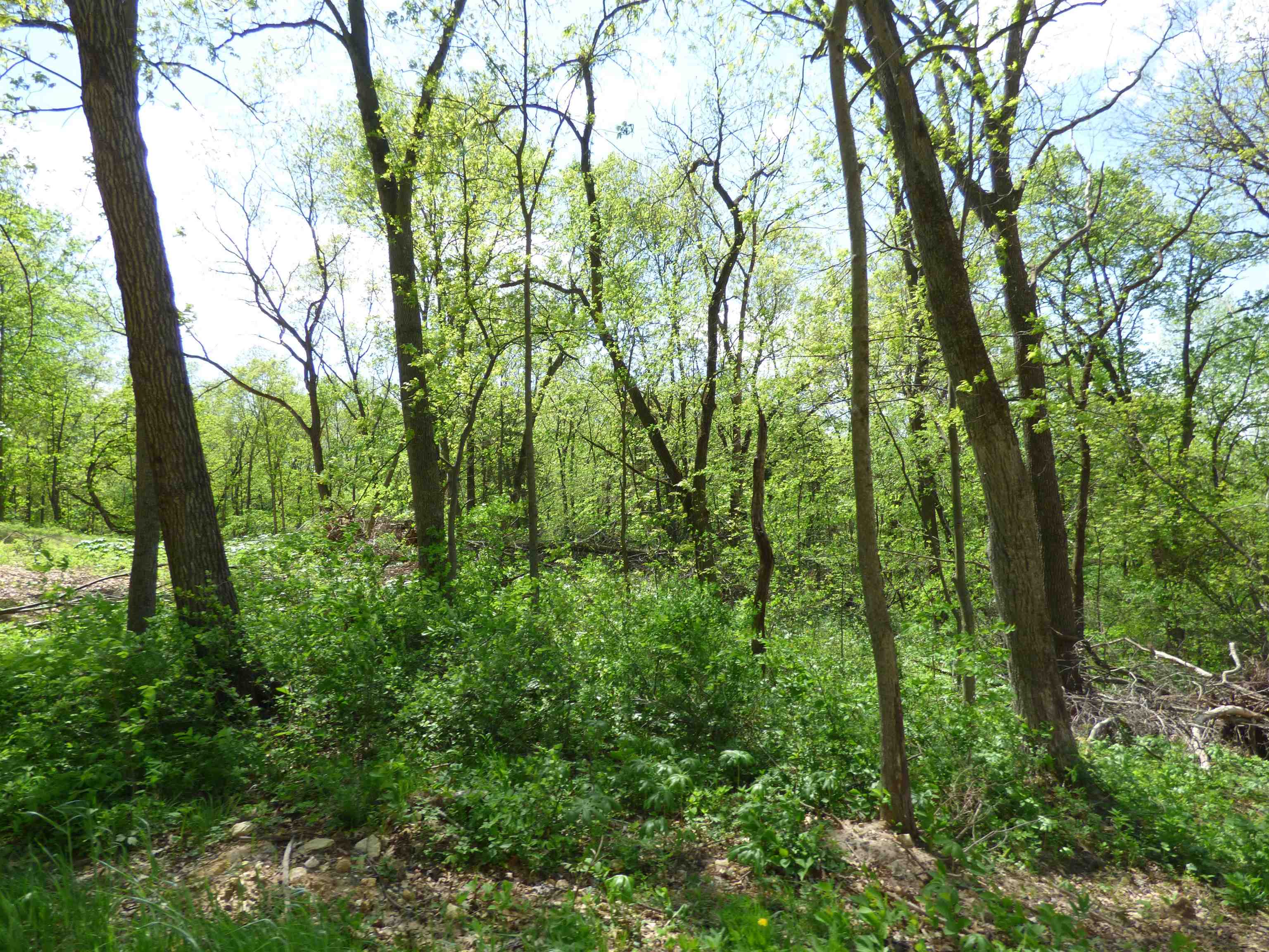 6163 South Blanding Road Hanover, IL 61041 - Photo 69 of 72