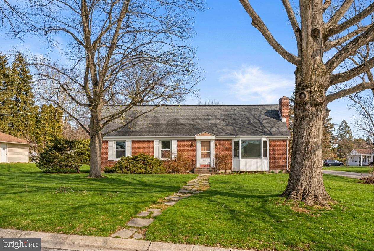 AI GENERATED TO SHOW GRASS AND BLUE SKYS