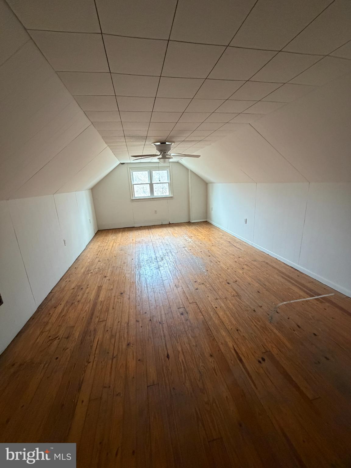 1601 Woodcrest Road Harrisburg, PA 17112 - Photo 11 of 11 Spacious attic with natural light and charm.