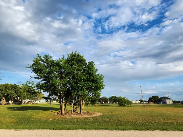 a view of a big yard with large trees