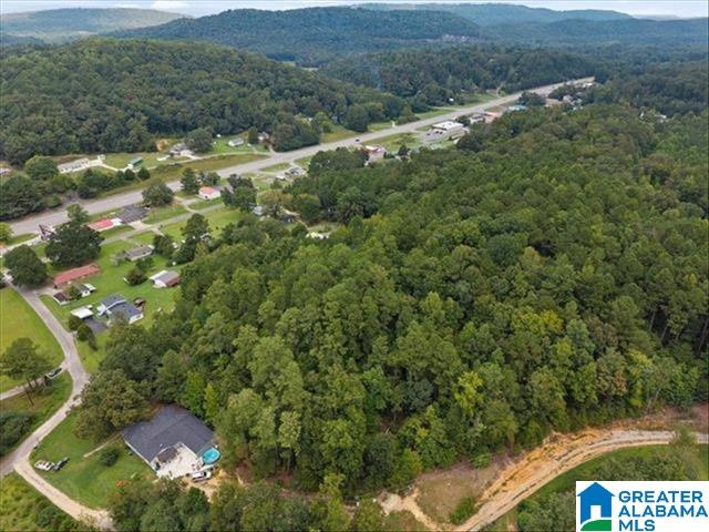 0 Cedar Drive Oneonta, AL 35121 - Photo 3 of 3
