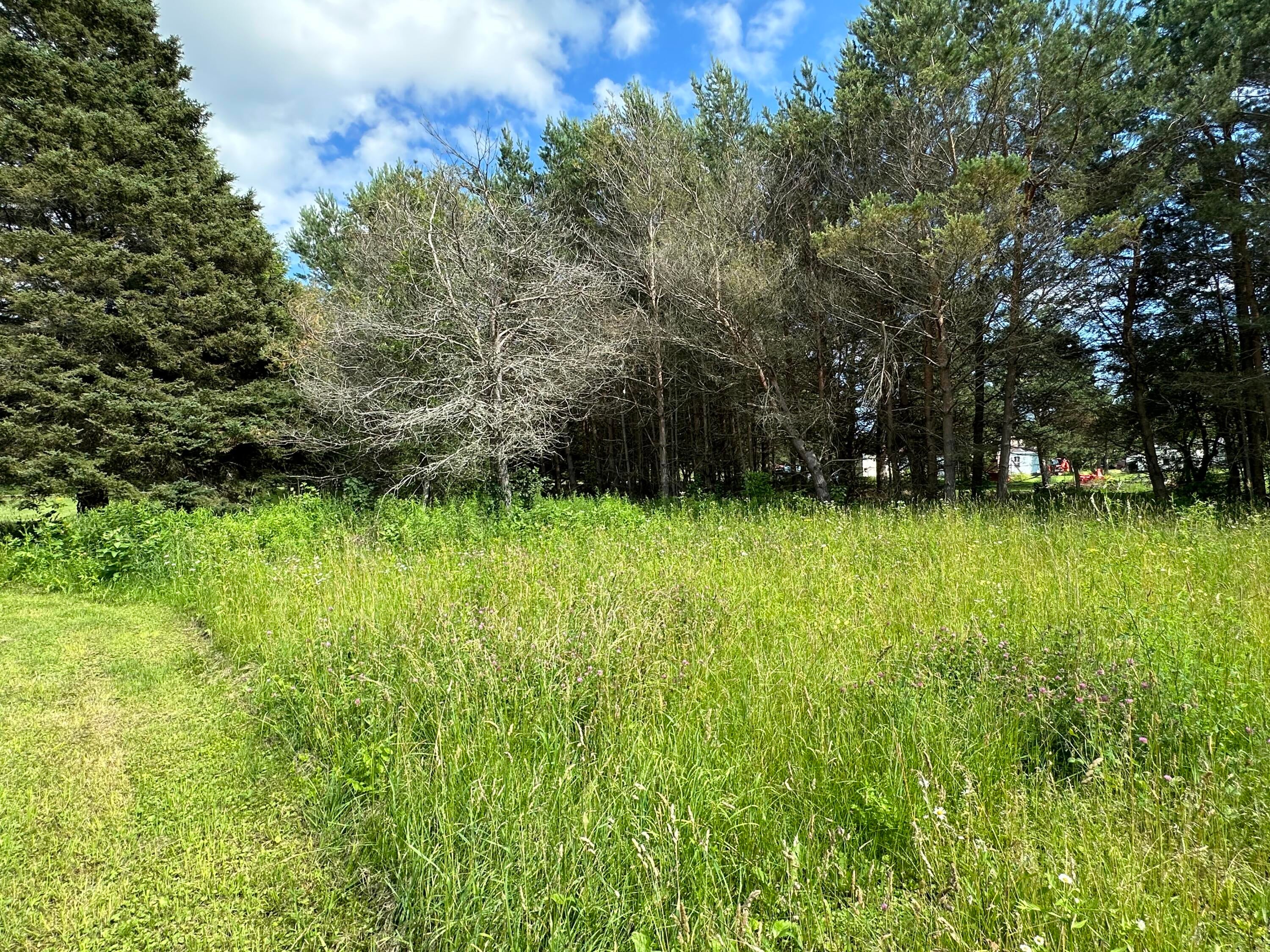 N3984 Church Road Moran, MI 49760 - Photo 27 of 30 Gallery Image 27
