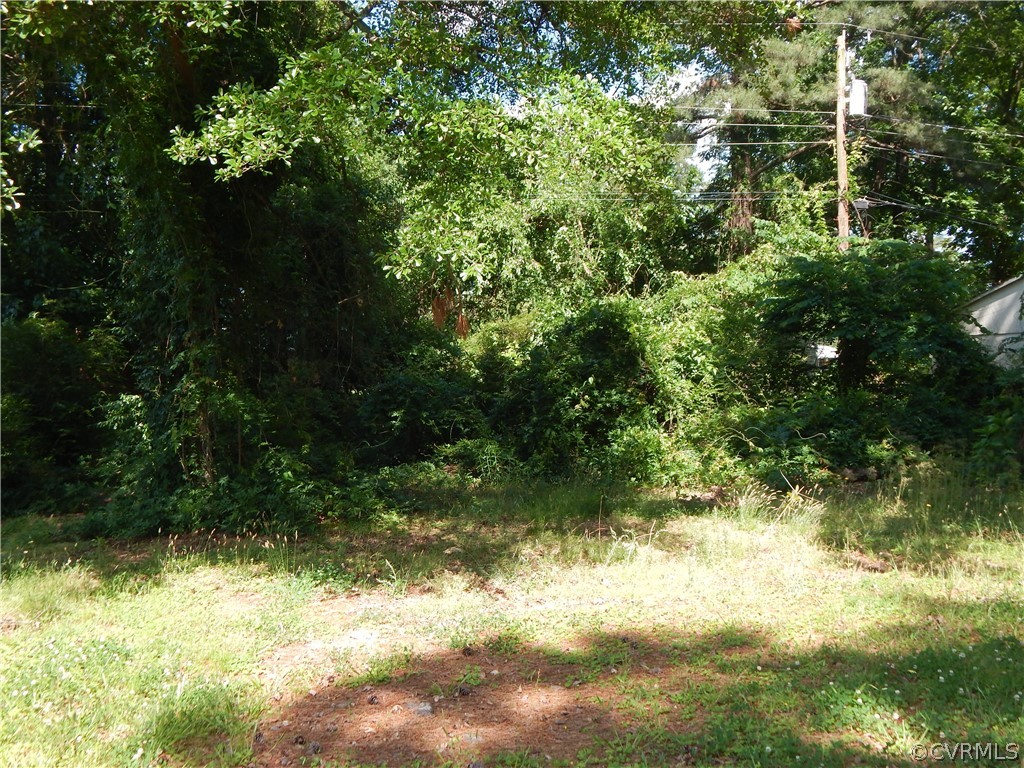 2111 Fort Rice Street Petersburg, VA 23805 - Photo 3 of 21 Gallery Image 3